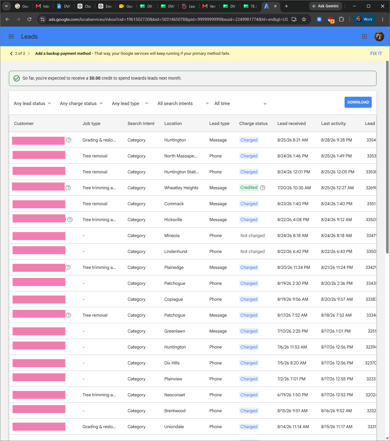 Google Ads pay-per-lead inbox showing dozens of charged phone and message leads with job types like tree removal and grading, across Long Island towns
